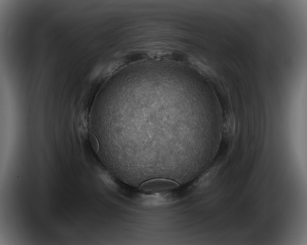 X0000084540430200703021448