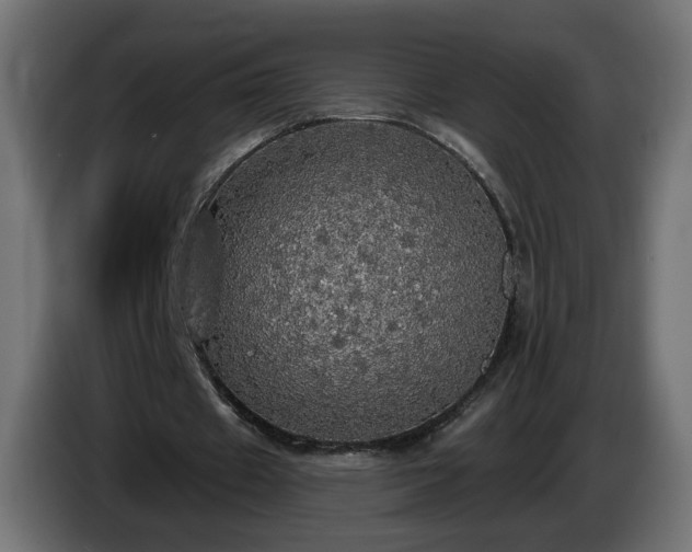 X0000084540433200703021447