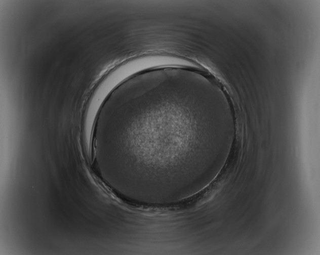 X0000084540434200703021447