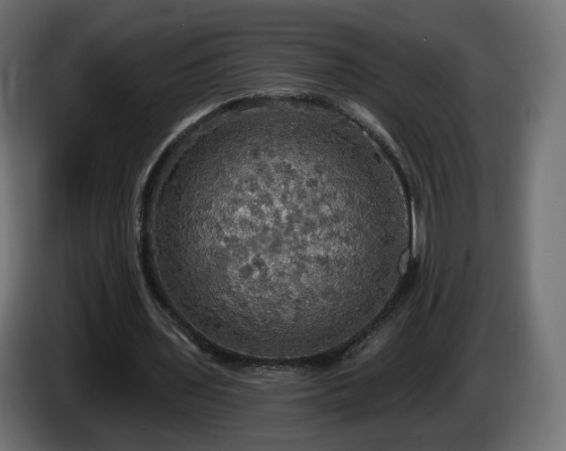 X0000084540435200703021447