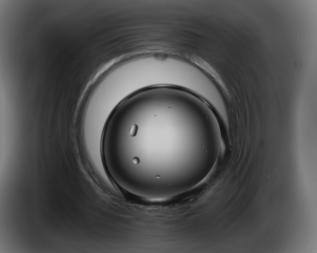 X0000084540436200703021447