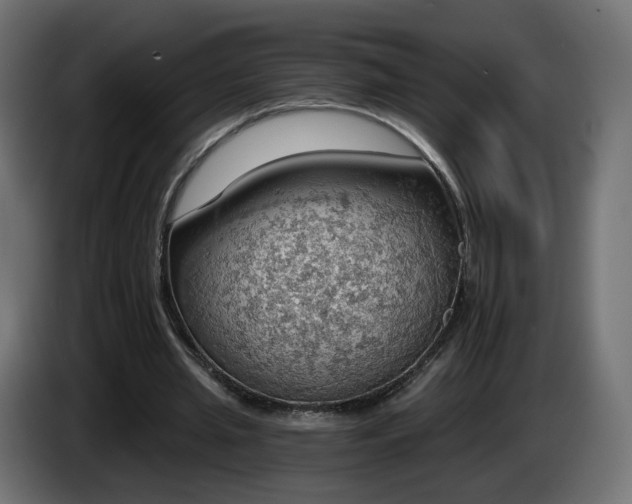 X0000084540437200703021447