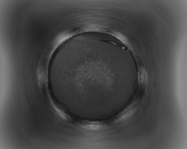 X0000084540438200703021447