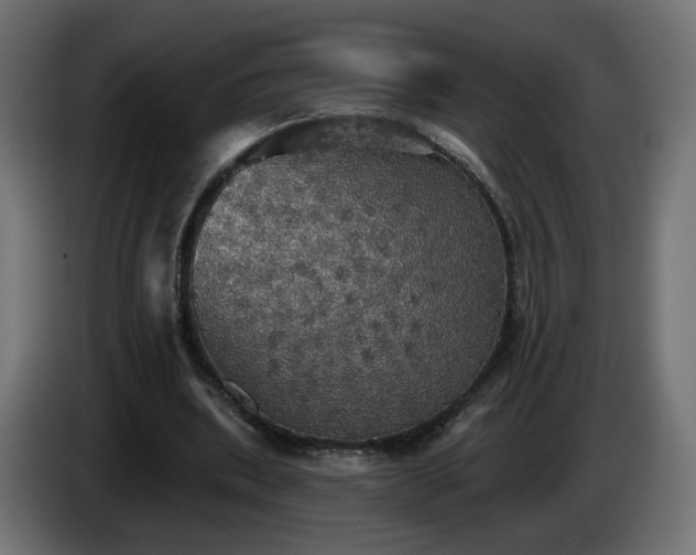 X0000084540439200703021447