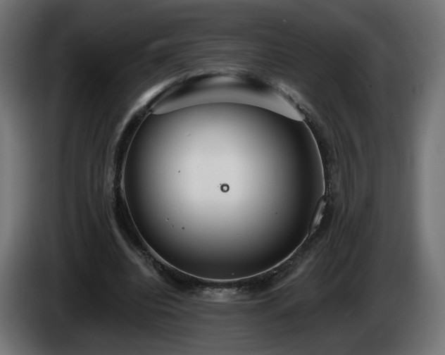 X0000084540440200703021447