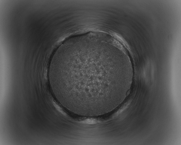 X0000084540441200703021447