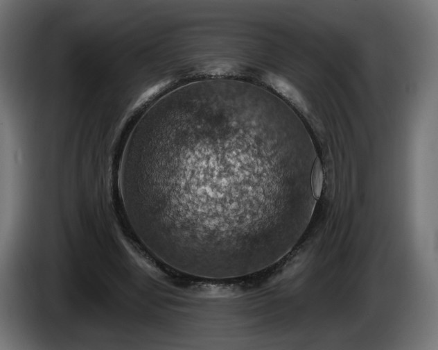 X0000084540442200703021447