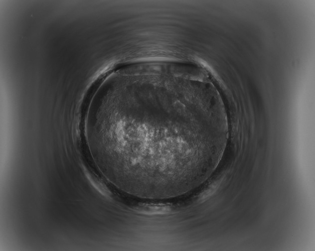 X0000084540443200703021447