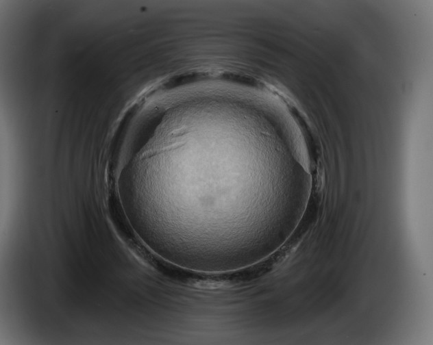 X0000084540444200703021447