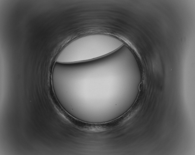 X0000084540445200703021447