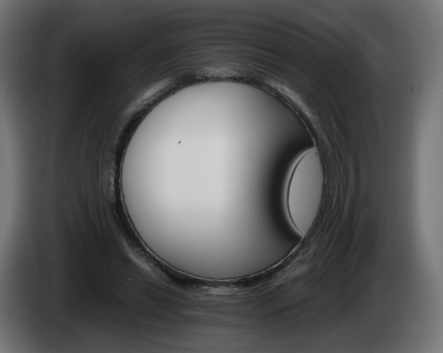 X0000084540446200703021447