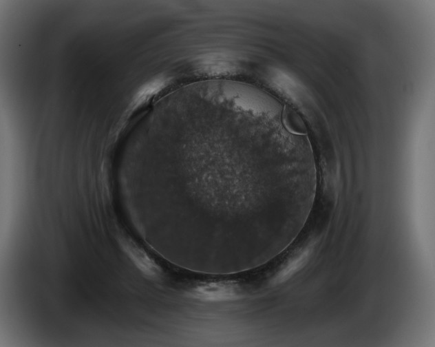 X0000084540447200703021447