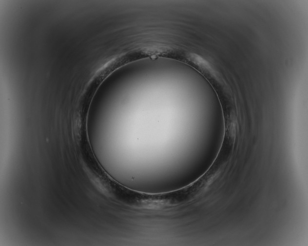 X0000084540448200703021447