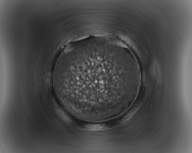 X0000084540449200703021447