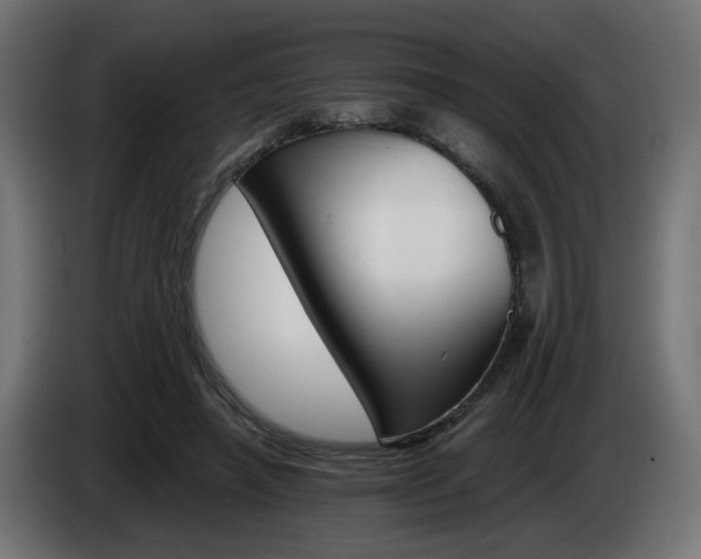 X0000084540450200703021447