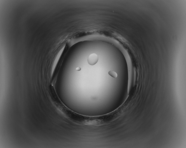 X0000084540452200703021447