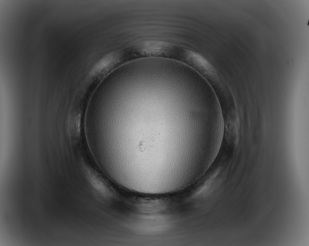 X0000084540454200703021447