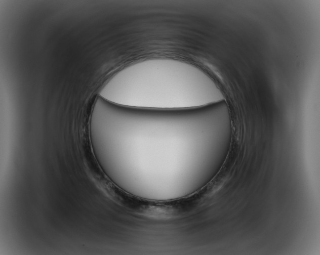 X0000084540455200703021447