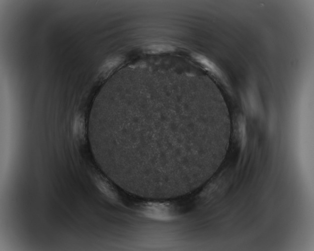 X0000084540457200703021447