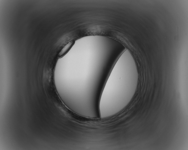 X0000084540458200703021447