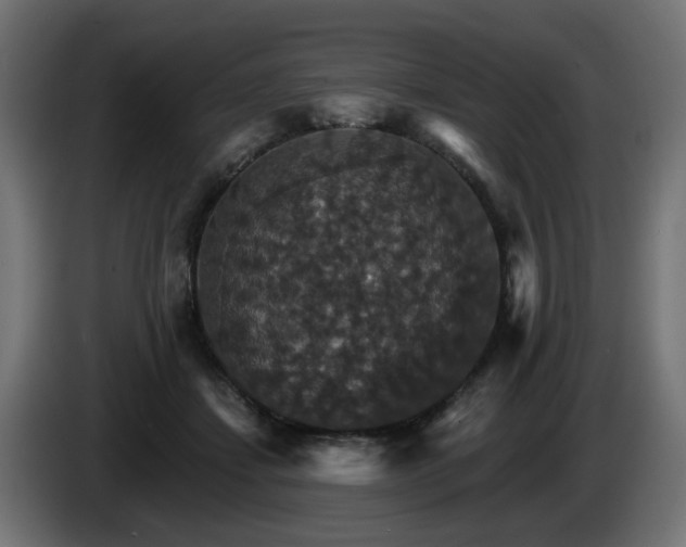 X0000084540459200703021447