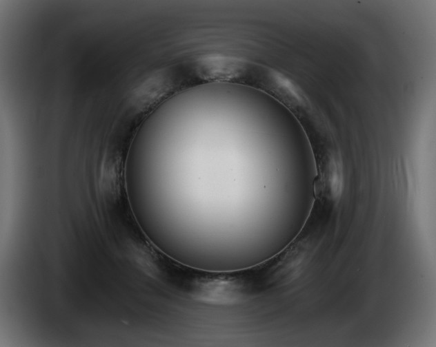 X0000084540460200703021447