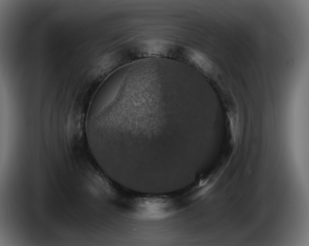 X0000084540462200703021447