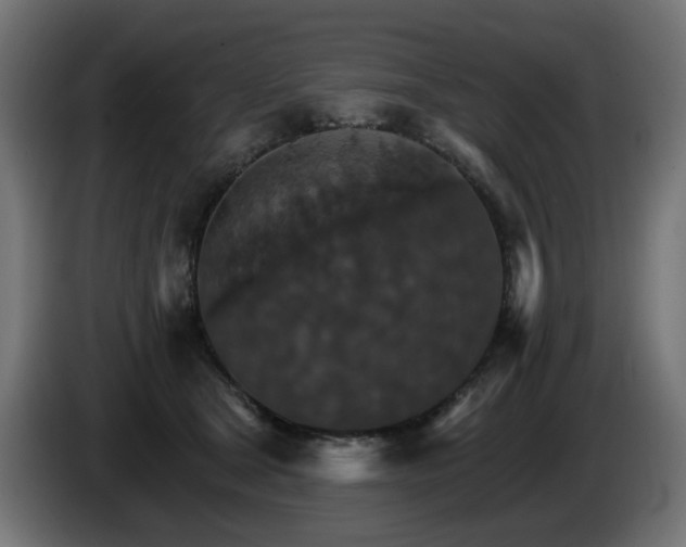 X0000084540465200703021448