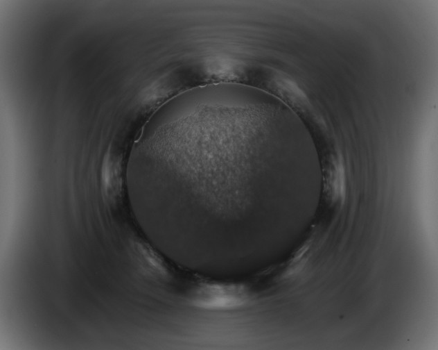 X0000084540466200703021448