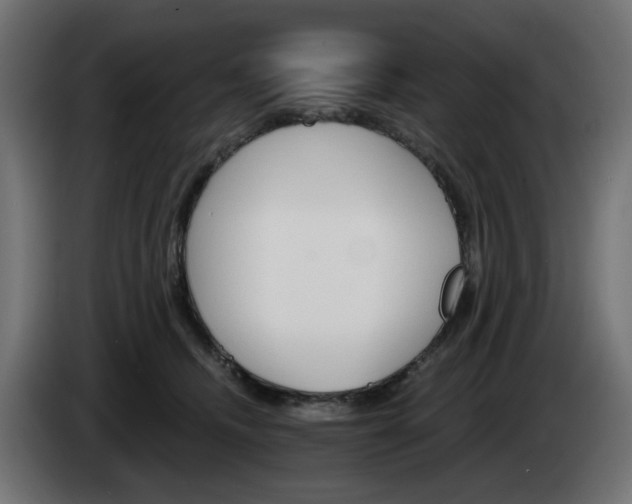 X0000084540468200703021448