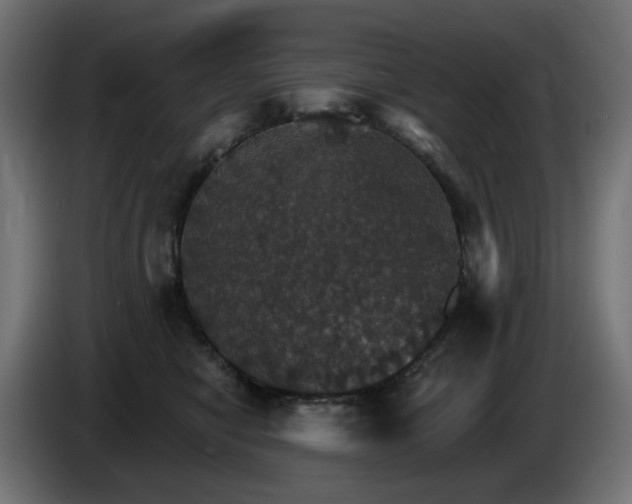 X0000084540470200703021448