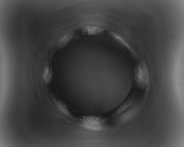 X0000084540471200703021448