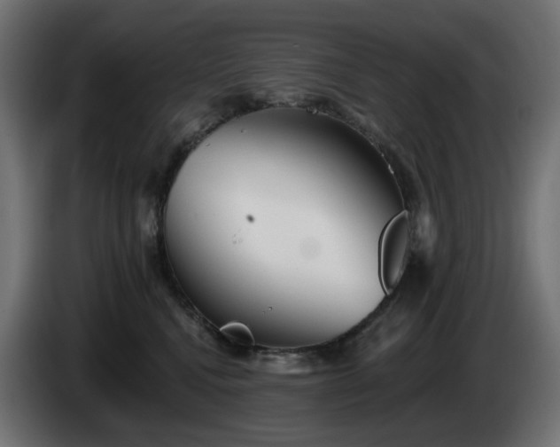 X0000084540472200703021448