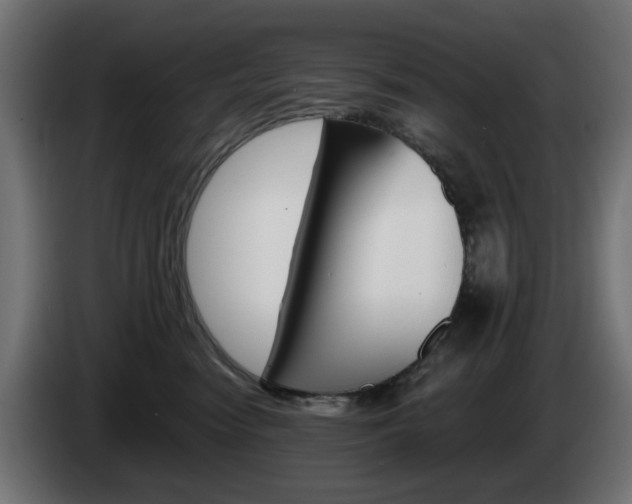 X0000084540474200703021448