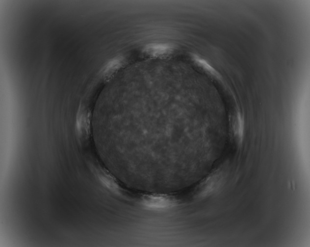 X0000084540475200703021448