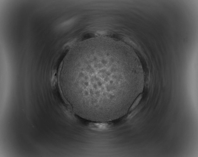 X0000084540478200703021448