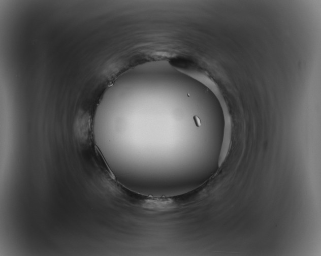 X0000084540480200703021448