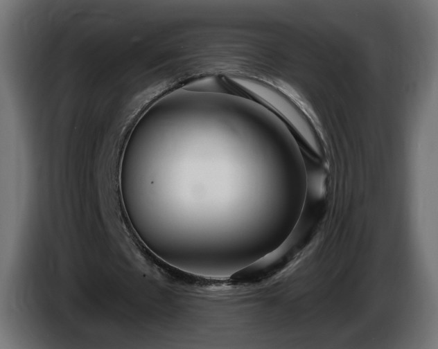 X0000084540481200703021447