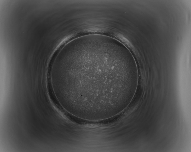 X0000084540482200703021447