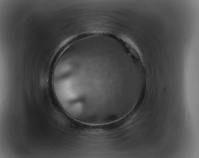 X0000084540483200703021447