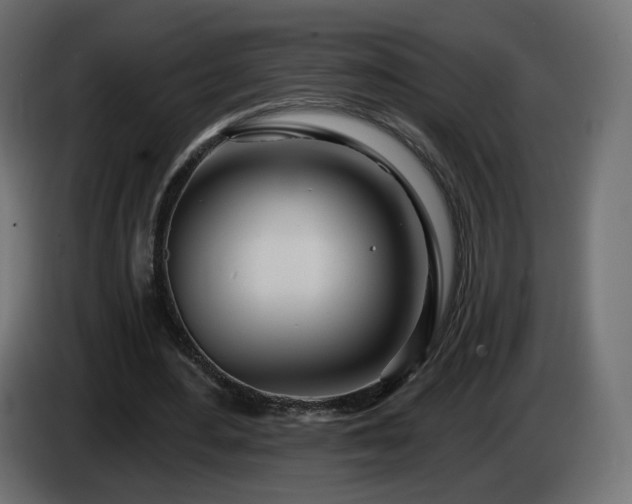 X0000084540484200703021447