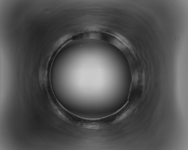 X0000084540485200703021447