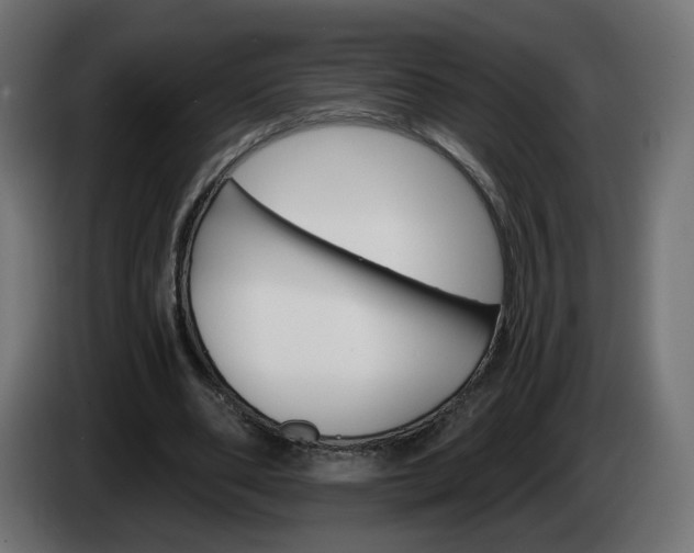 X0000084540486200703021447