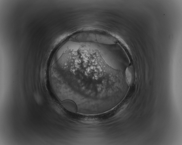 X0000084540487200703021447