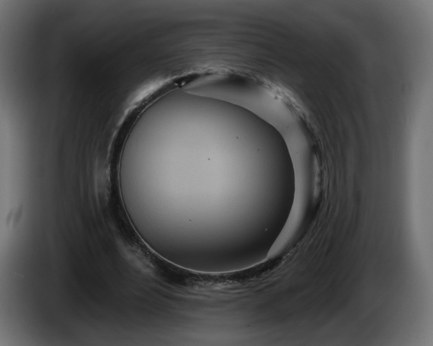 X0000084540488200703021447