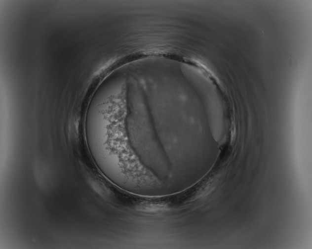 X0000084540491200703021447