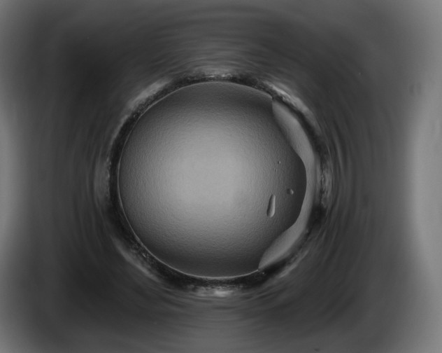 X0000084540492200703021447