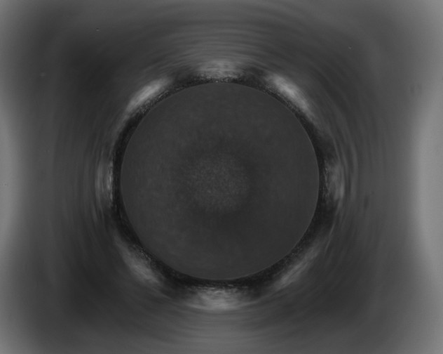 X0000084540494200703021447