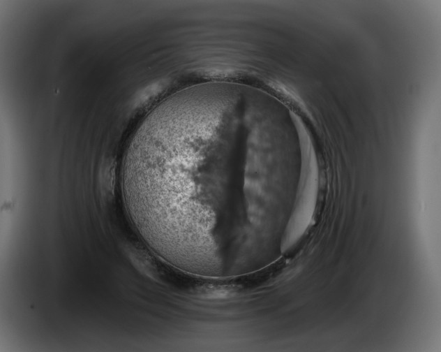 X0000084540495200703021447