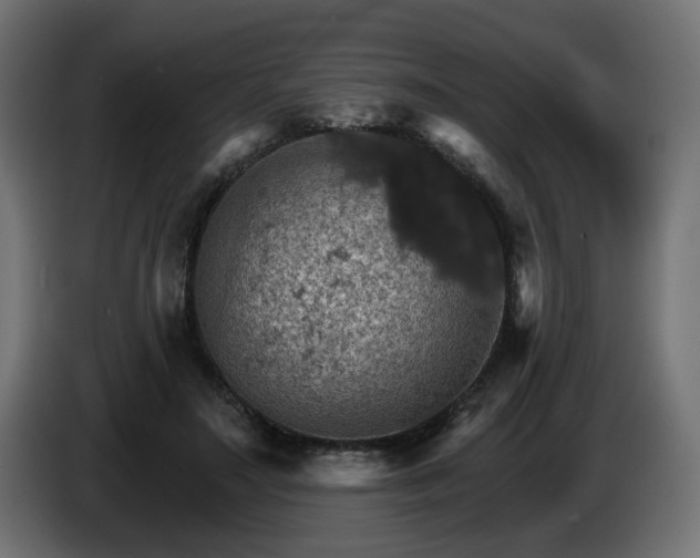 X0000084540499200703021447